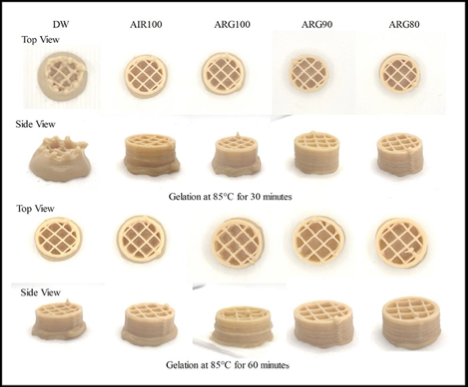 Improvement In Plant Protein 3D Printability And Functionality Food 