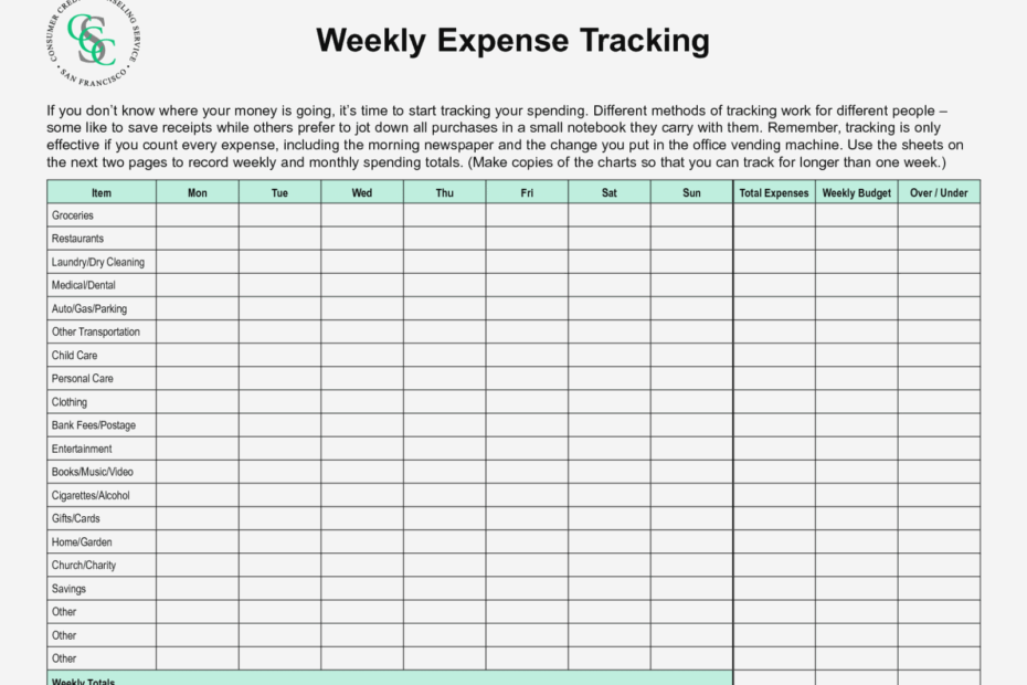 Income And Expense Statement And Balance Sheet Template Sample Duyudu