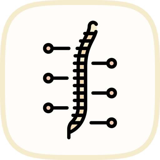Mastering Palindrome Detection In C LabEx