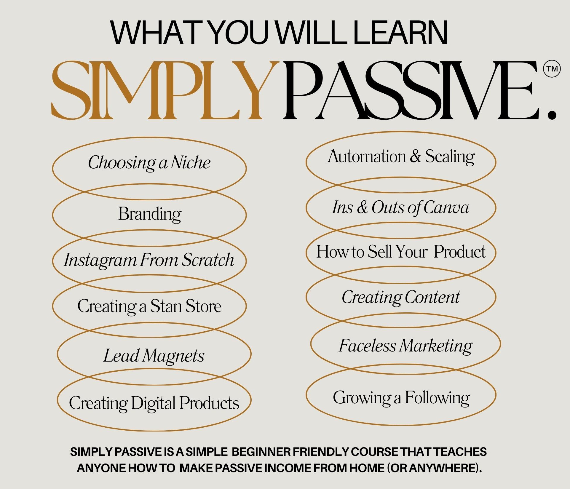 NEW SIMPLY PASSIVE MRR COURSE