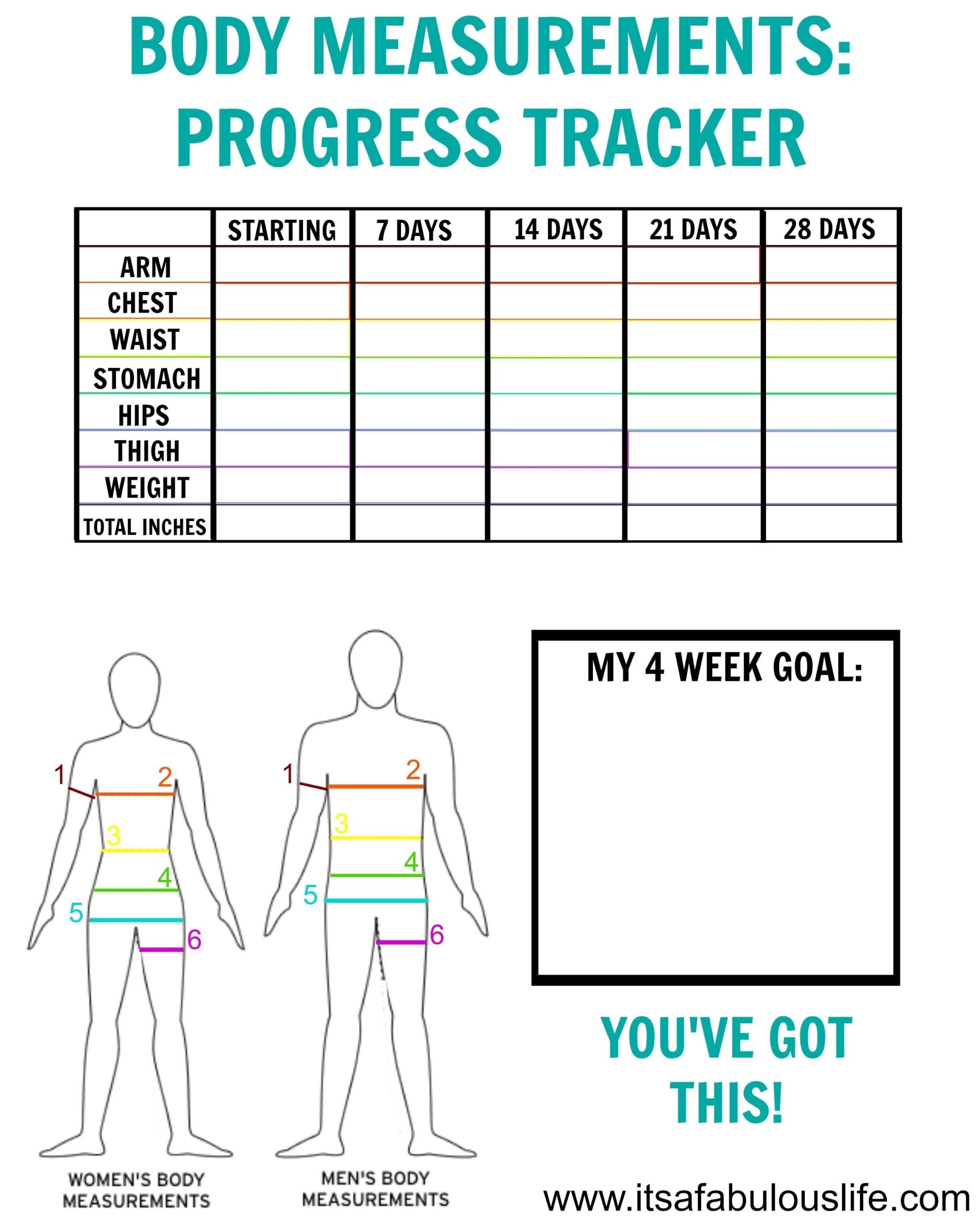 Printable Body Measurement Chart