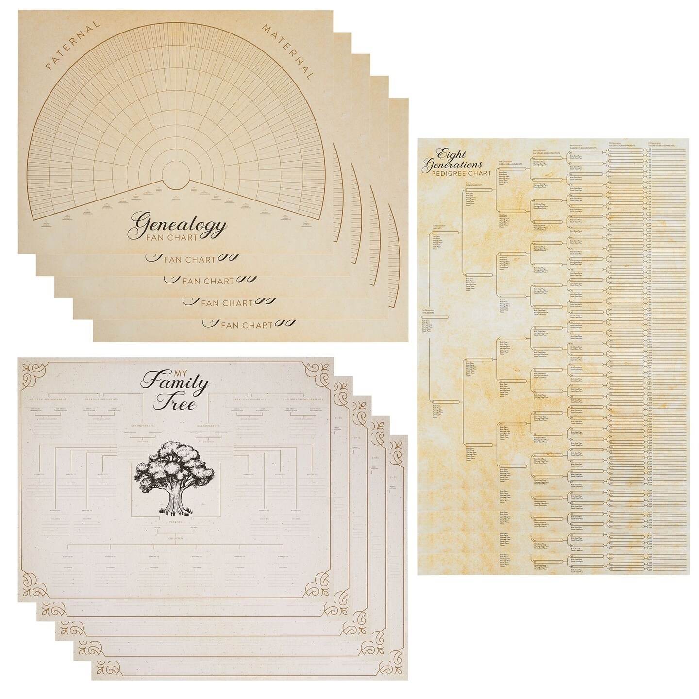 Blank Family Tree Genealogy Charts And Forms 17 X 22 Inches 15 Pack 