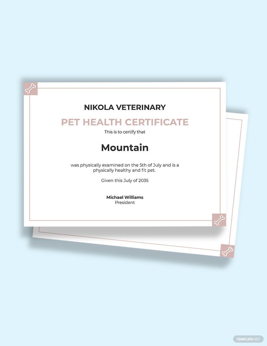 Pet Health Certificate Template In Word Pages Publisher Google 